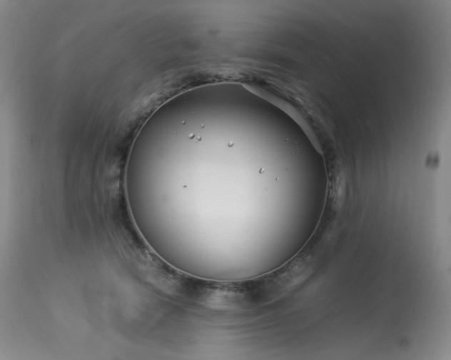 X0000113990466200910021227