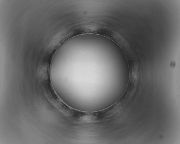 X0000113990468200910021227