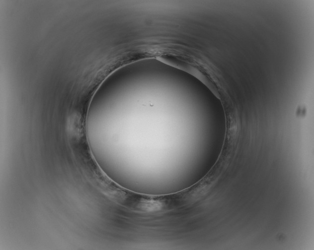 X0000113990469200910021227