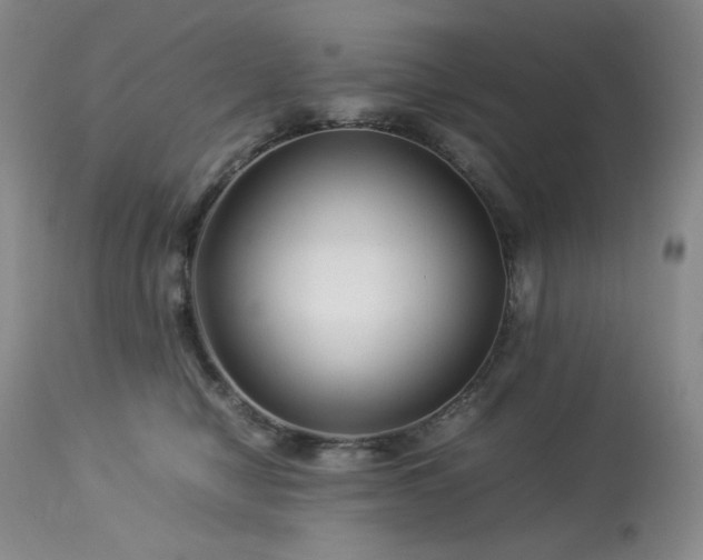 X0000113990470200910021227