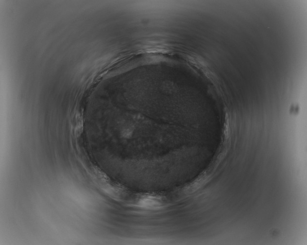 X0000113990471200910021227