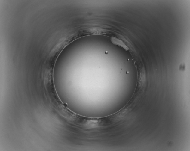 X0000113990473200910021227