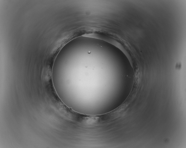 X0000113990474200910021227