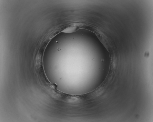 X0000113990475200910021227