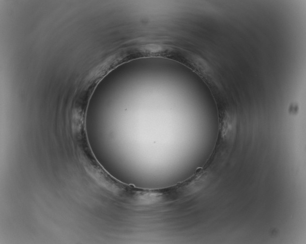 X0000113990476200910021227