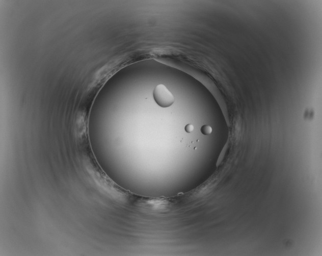 X0000113990478200910021227