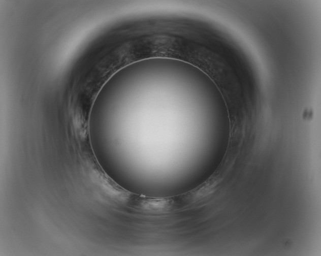 X0000113990479200910021227