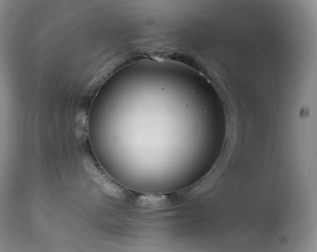 X0000113990480200910021227