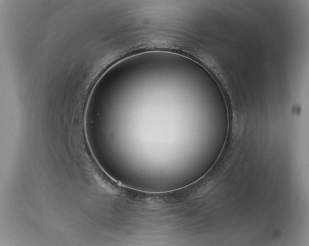 X0000113990481200910021226