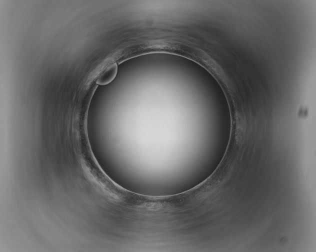 X0000113990482200910021226