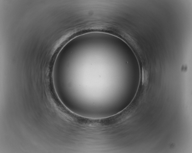 X0000113990483200910021226