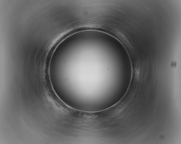 X0000113990484200910021226