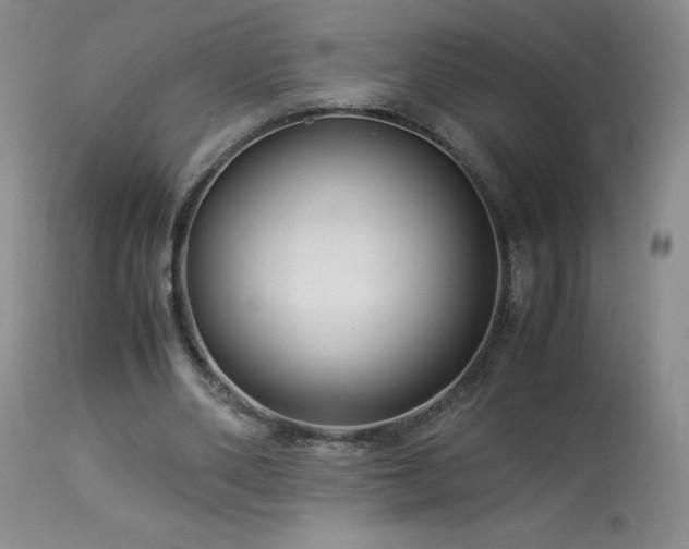 X0000113990486200910021226