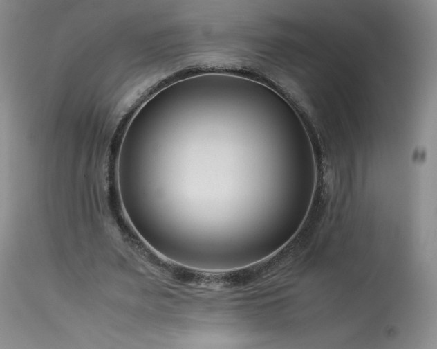 X0000113990487200910021226