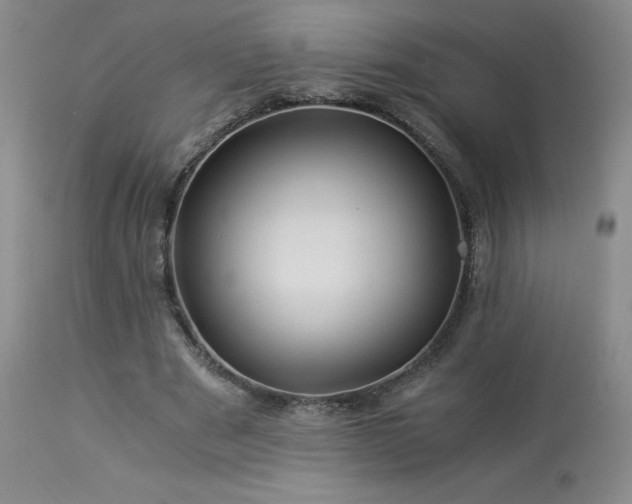 X0000113990489200910021226