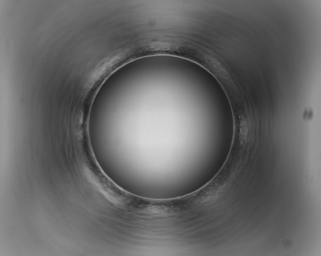 X0000113990490200910021226