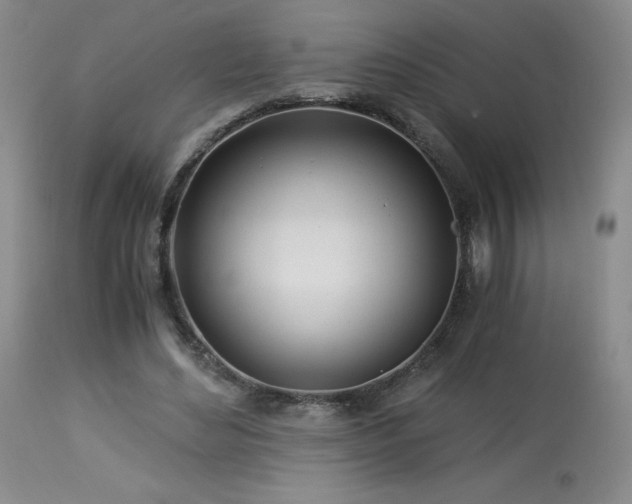 X0000113990492200910021226