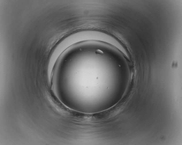 X0000113990493200910021226