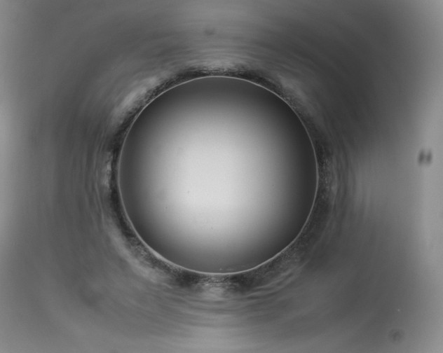 X0000113990495200910021226