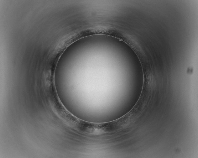 X0000113990498200910021226