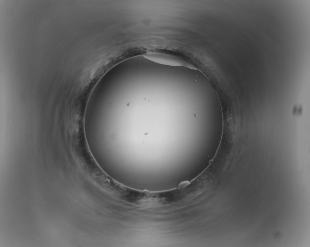 X0000113990499200910021226