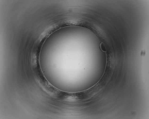 X0000113990500200910021226