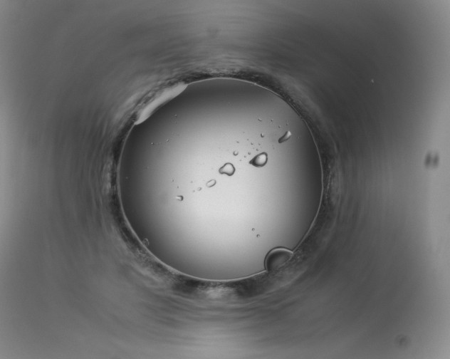 X0000113990501200910021226