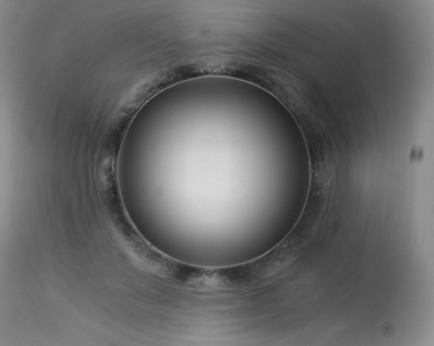 X0000113990503200910021226