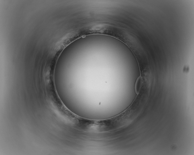 X0000113990504200910021226