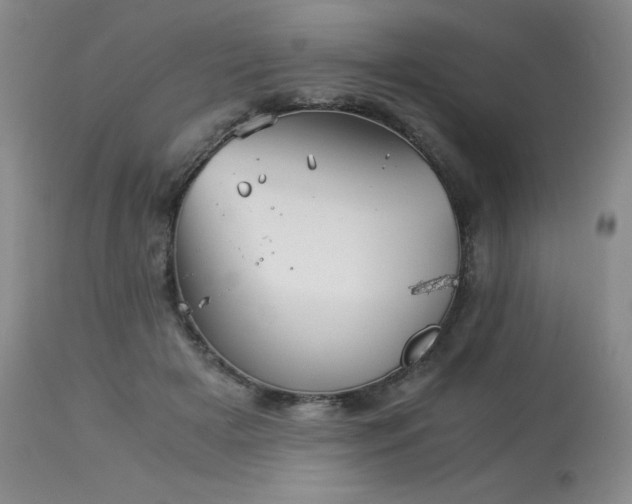 X0000113990505200910021226