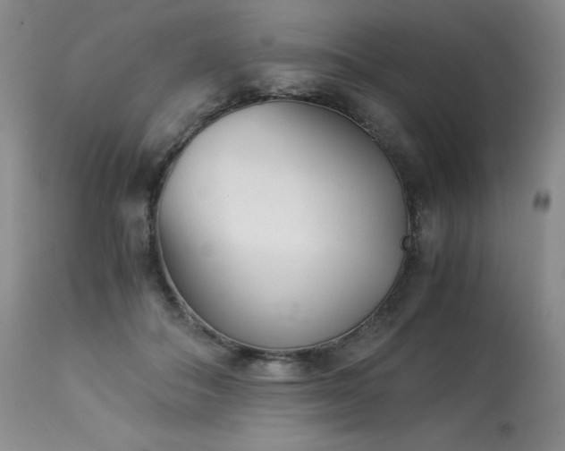 X0000113990506200910021226