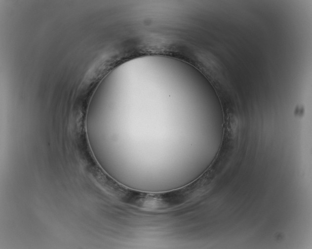 X0000113990507200910021226