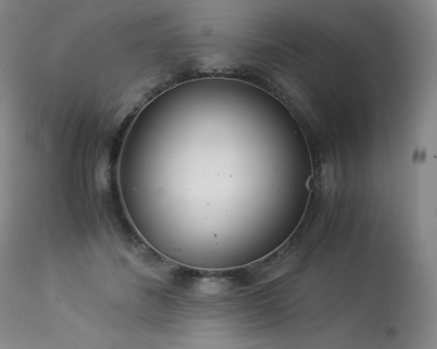 X0000113990508200910021226