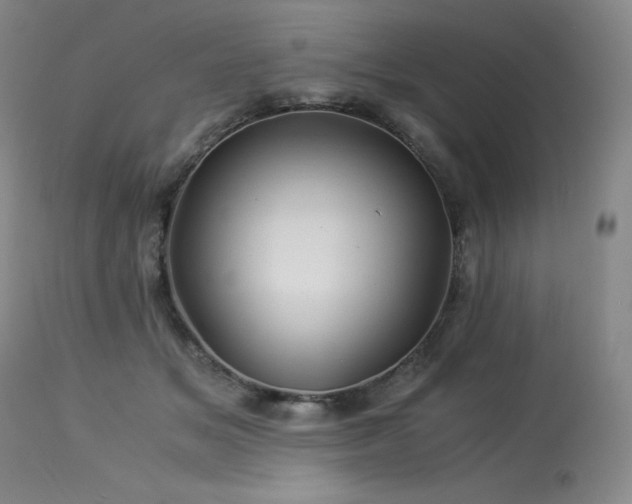 X0000113990509200910021226