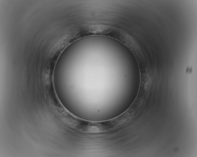 X0000113990510200910021226