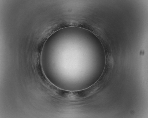 X0000113990511200910021226