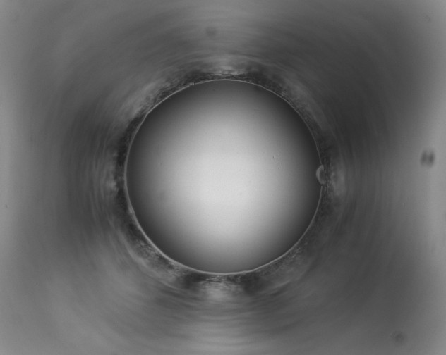 X0000113990512200910021226