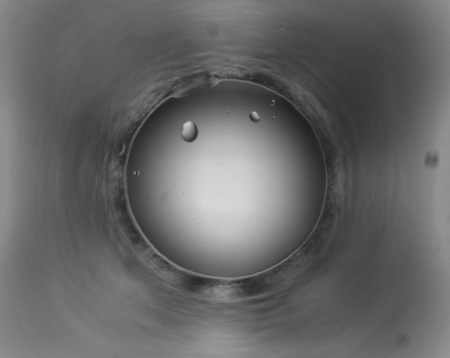 X0000113990513200910021226