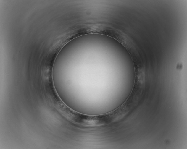 X0000113990514200910021226