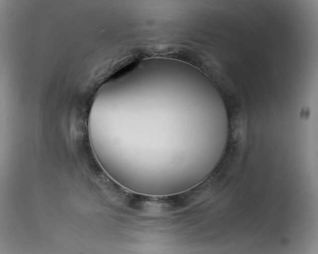 X0000113990515200910021226