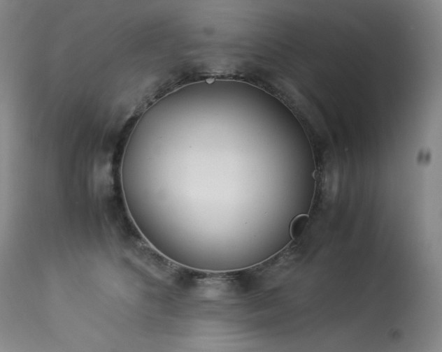 X0000113990516200910021226