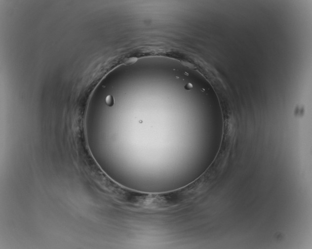 X0000113990517200910021226