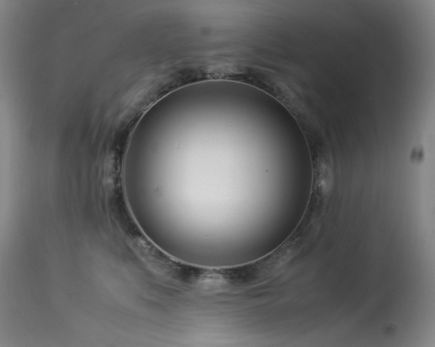 X0000113990519200910021226