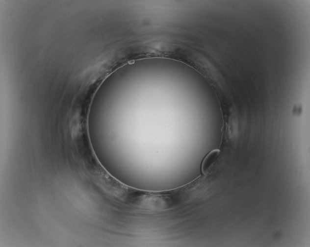 X0000113990520200910021226