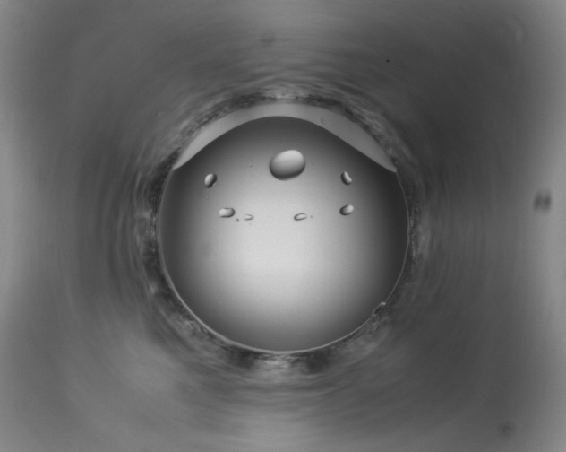 X0000113990521200910021226