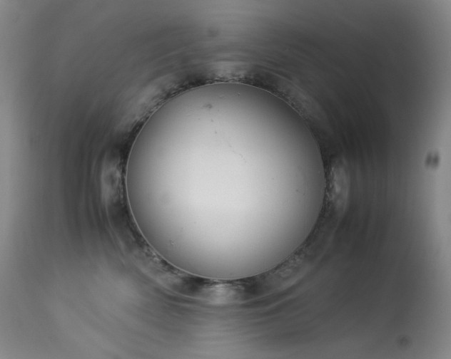 X0000113990522200910021226