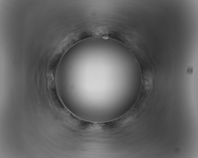 X0000113990523200910021226