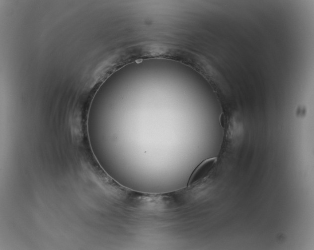 X0000113990524200910021226