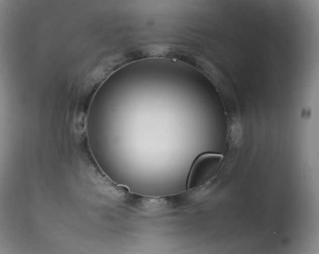 X0000113990525200910021226