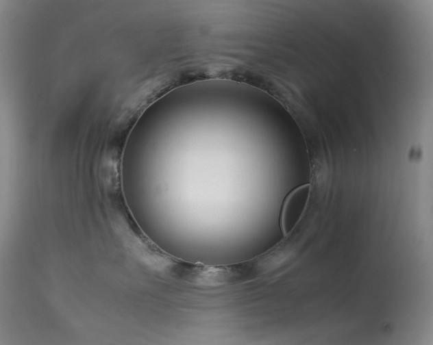 X0000113990527200910021226